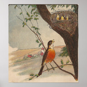 R är för Robin Poster