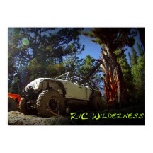 R/C Wilderness Off Road Road