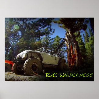 R/C Wilderness Off Road Road Poster