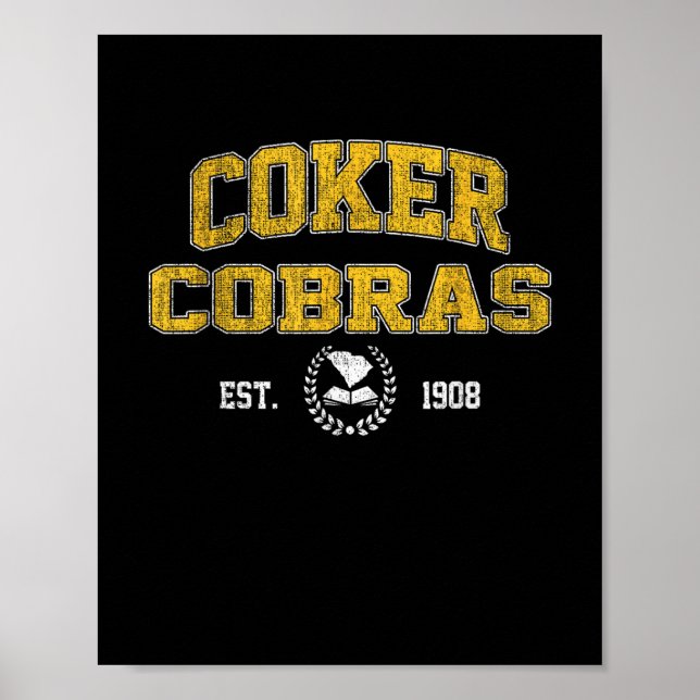 R College Cobras Arch Retro För manar kvinnor Poster (Framsidan)