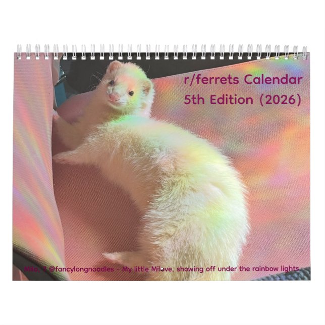 r/ferrets Kalender 5:e upplagan (2026) (Omslag)