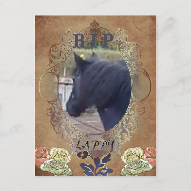 R.I.P LAPPY - vykort (Framsida)