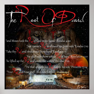 R.O.D. Rota av David. Poster