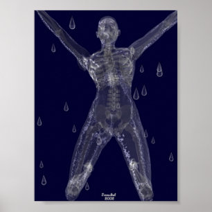 Råa avsikter poster
