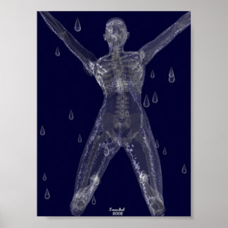 Råa avsikter poster