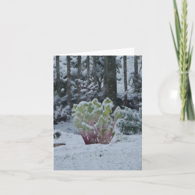 Rabatt i snökort kort (Framsida)