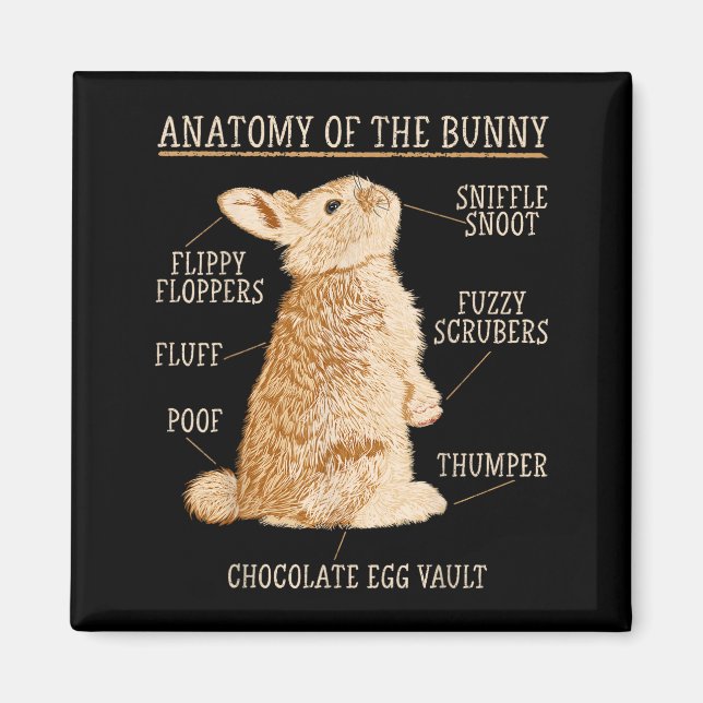 Rabbit Anatomy Bunny Lover Animal Pet Owner  Magnet (Framsidan)