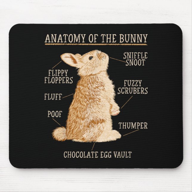 Rabbit Anatomy Bunny Lover Animal Pet Owner  Musmatta (Framsidan)