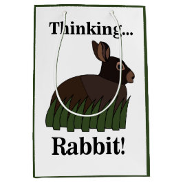 Rabbit Animal Cute Bunny