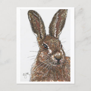 Rabbit Bunny Hare-vykort Vykort