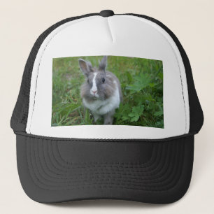 Rabbit bunny keps