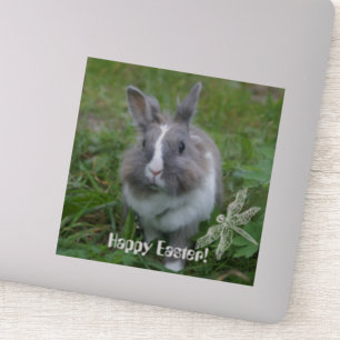 Rabbit bunny klistermärken