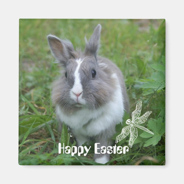 Rabbit bunny magnet (Framsidan)