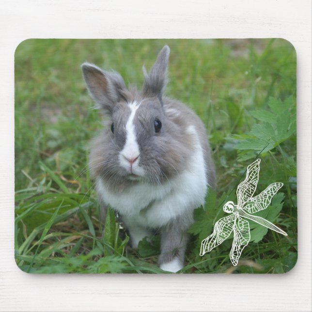 Rabbit bunny musmatta (Framsidan)