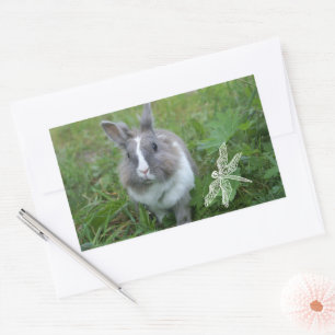 Rabbit bunny rektangulärt klistermärke