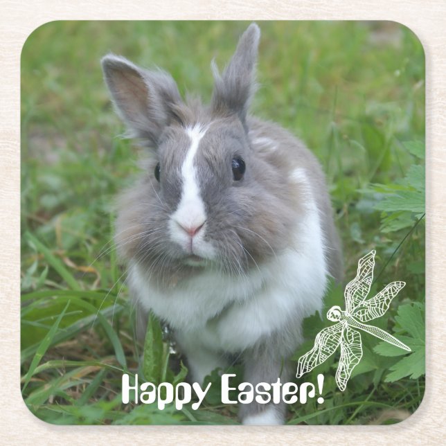 Rabbit bunny underlägg papper kvadrat (Framsidan)