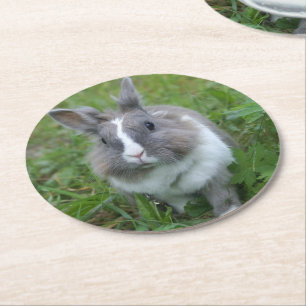 Rabbit bunny underlägg papper rund