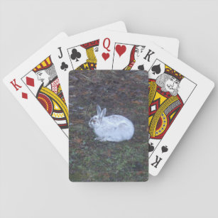 Rabbit Casinokort