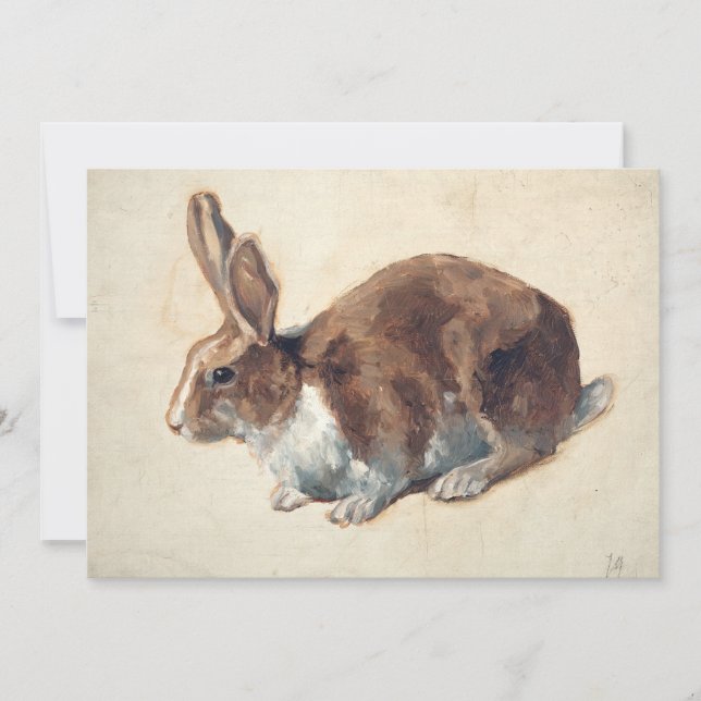Rabbit | Floris Verster (Framsida)