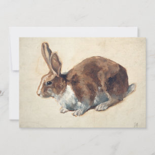 Rabbit Floris Verster