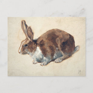 Rabbit Floris Verster Vykort