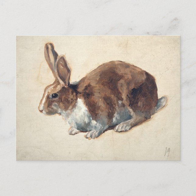 Rabbit | Floris Verster Vykort (Framsida)