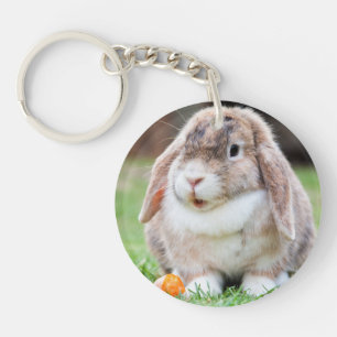 Rabbit från Cute Lop-Eared i Grass with Carrot
