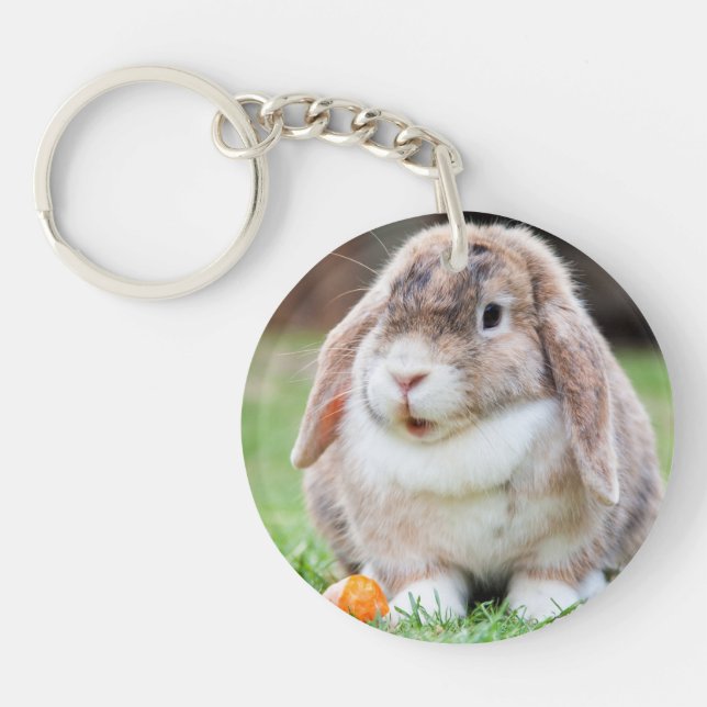 Rabbit från Cute Lop-Eared i Grass with Carrot (Framsidan)