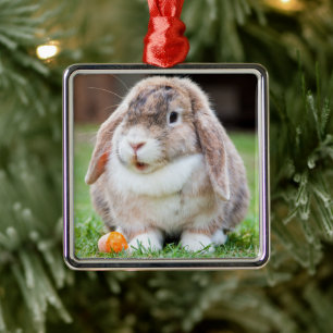 Rabbit från Cute Lop-Eared i Grass with Carrot Julgransprydnad Metall