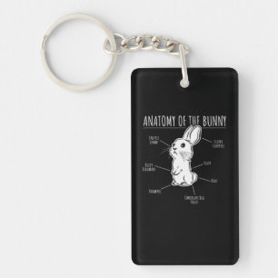 Rabbit Gift Anatomi hos Bunny Cute Rabbit Pet Kär