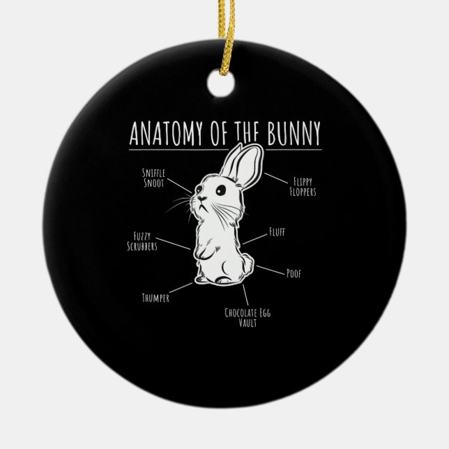 Rabbit Gift |Anatomi hos Bunny Cute Rabbit Pet Kär Julgransprydnad Keramik (Framsidan)