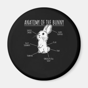 Rabbit Gift Anatomi hos Bunny Cute Rabbit Pet Kär Magnet