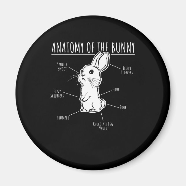 Rabbit Gift |Anatomi hos Bunny Cute Rabbit Pet Kär Magnet (Framsidan)