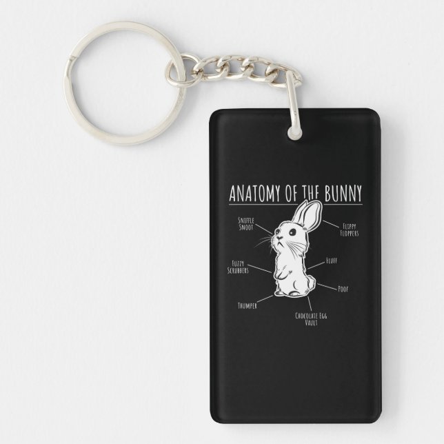 Rabbit Gift|Anatomi hos Bunny Cute Rabbit Pet Kärl (Framsidan)