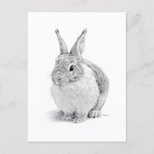 Rabbit Helg Vykort