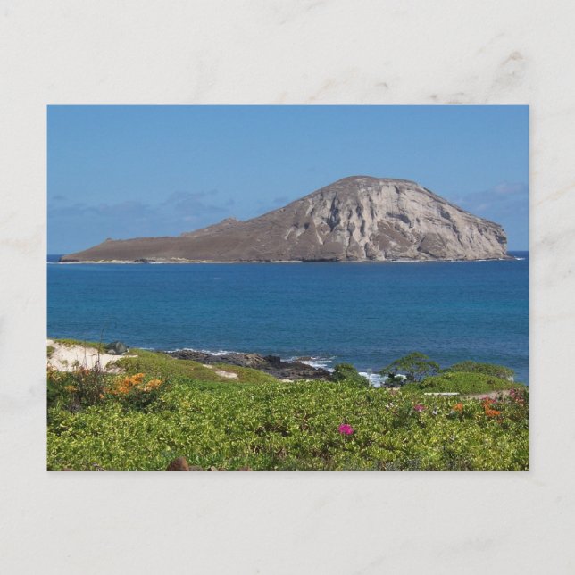 Rabbit Island Oahu Hawaii Vykort (Framsida)