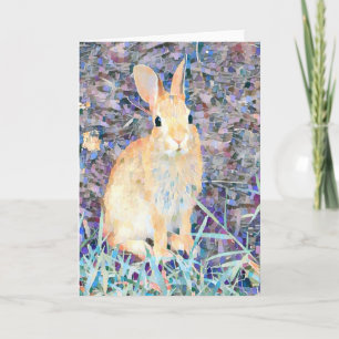 Rabbit Kort
