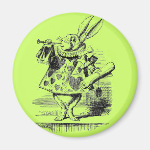 Rabbit Magnet