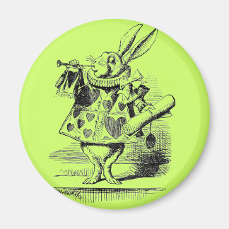 Rabbit Magnet