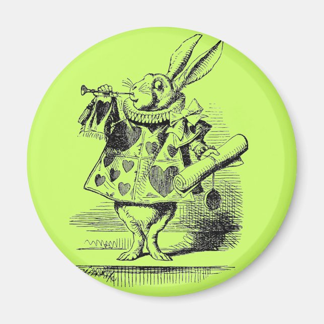 Rabbit Magnet (Framsidan)