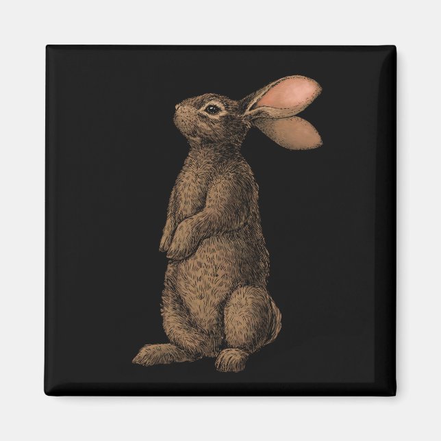 Rabbit Magnet (Framsidan)