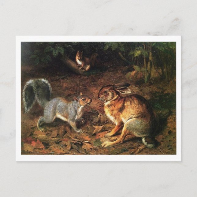 Rabbit Meet Squirrel Vykort (Framsida)