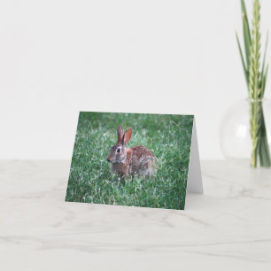 Rabbit Notecard Kort