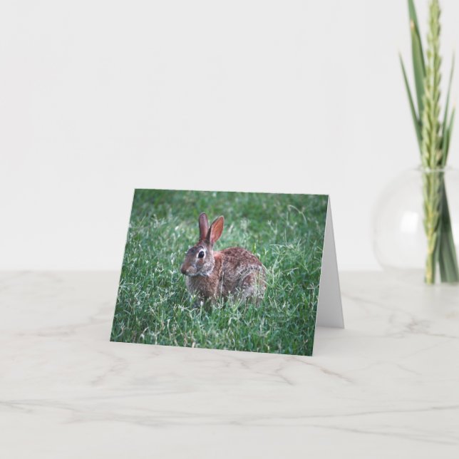 Rabbit Notecard Kort (Framsida)