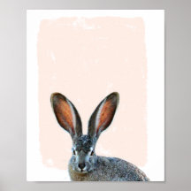 Rabbit Nursery peek a boo