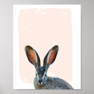 Rabbit Nursery peek a boo Poster