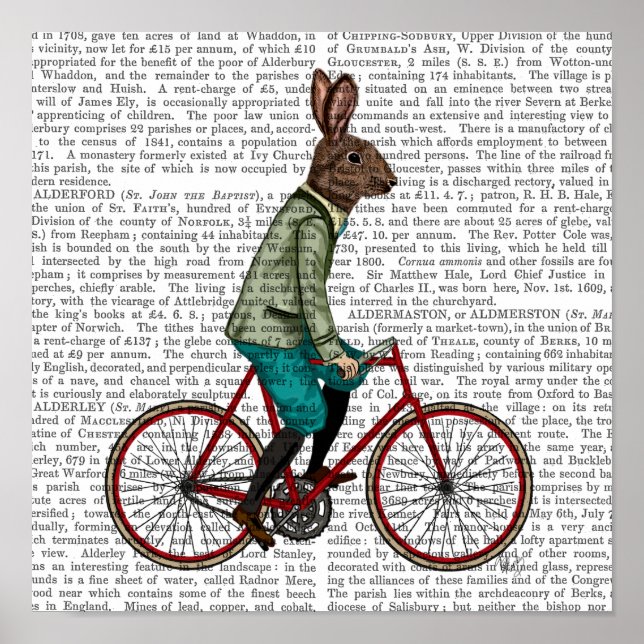 Rabbit On Bike Poster (Framsidan)