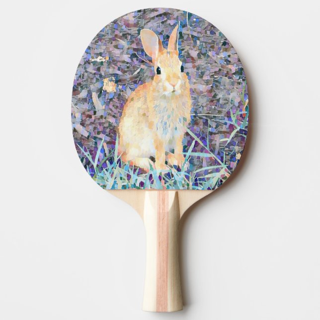 Rabbit Pingisracket (Framsidan)