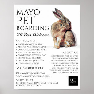 Rabbit Porträtt, Pet Boarding Advertising Poster
