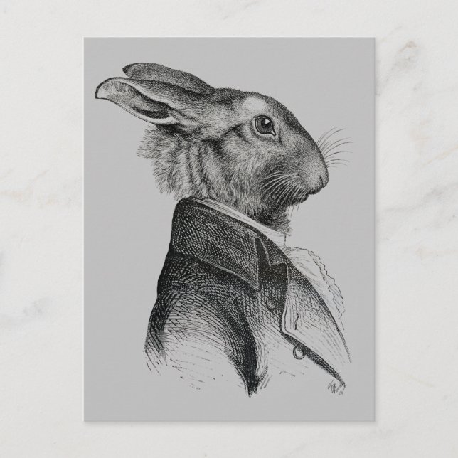 Rabbit Porträtt-profil Vykort (Framsida)